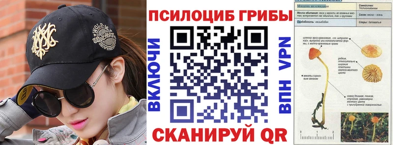 мориарти телеграм  Борзя  Галлюциногенные грибы Psilocybe 